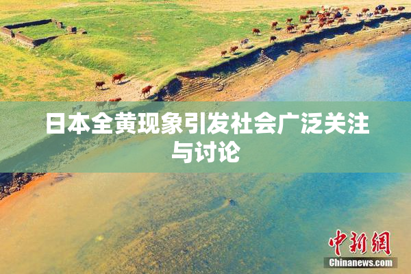 日本全黄现象引发社会广泛关注与讨论