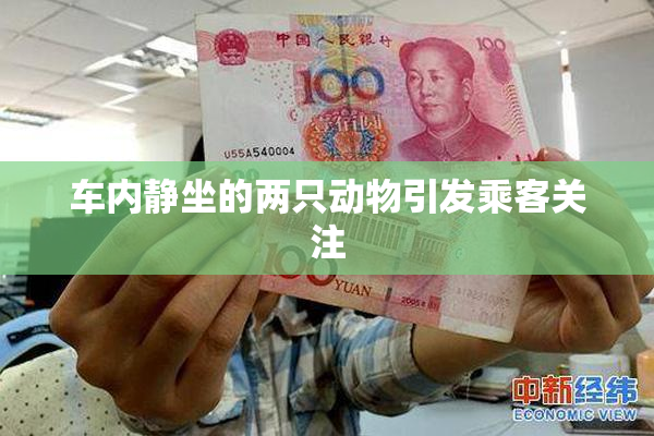 车内静坐的两只动物引发乘客关注
