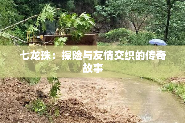 七龙珠：探险与友情交织的传奇故事
