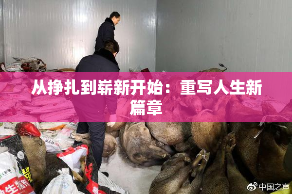 从挣扎到崭新开始：重写人生新篇章