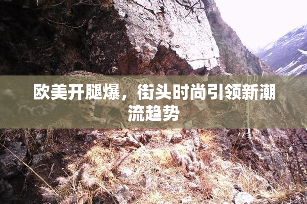 欧美开腿爆，街头时尚引领新潮流趋势