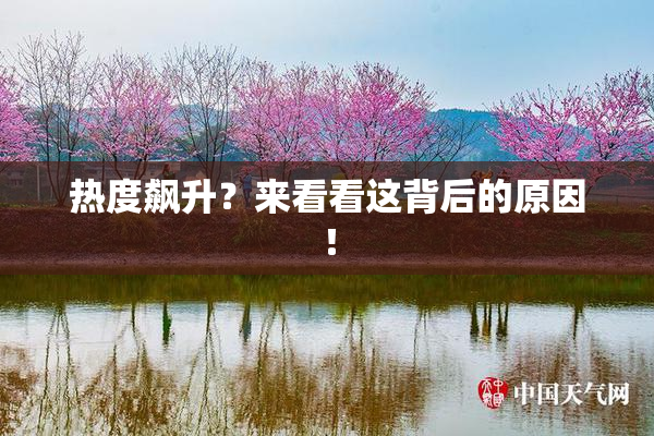 热度飙升？来看看这背后的原因！