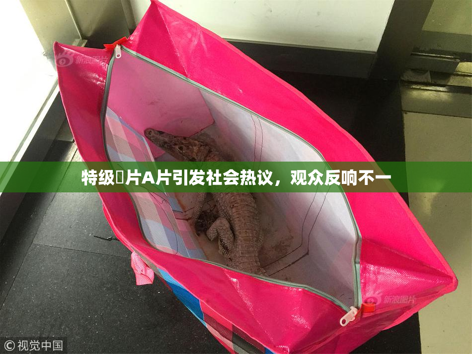 特级婬片A片引发社会热议，观众反响不一