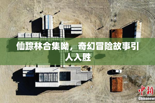 仙踪林合集呦，奇幻冒险故事引人入胜