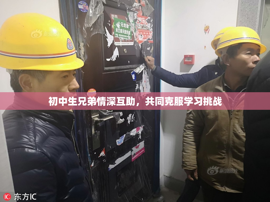 初中生兄弟情深互助，共同克服学习挑战