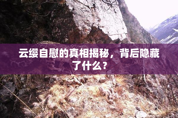 云缨自慰的真相揭秘，背后隐藏了什么？