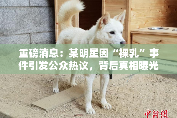 重磅消息：某明星因“裸乳”事件引发公众热议，背后真相曝光！