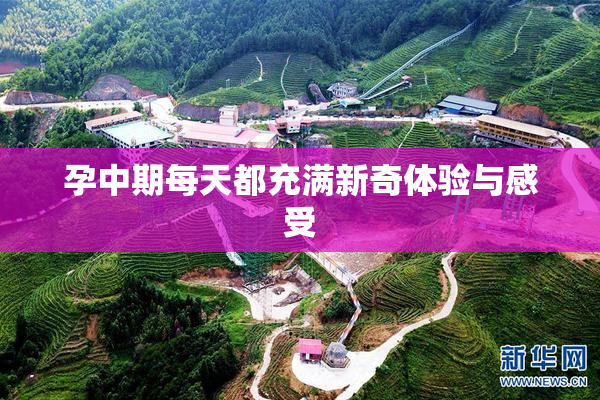 孕中期每天都充满新奇体验与感受