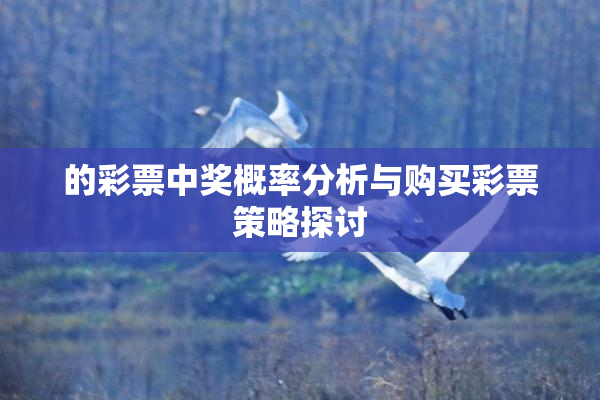 的彩票中奖概率分析与购买彩票策略探讨