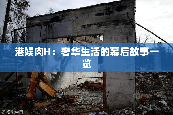 港娱肉H：奢华生活的幕后故事一览