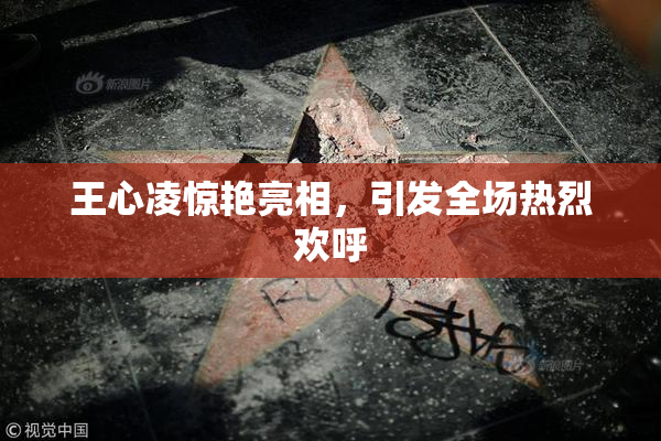 王心凌惊艳亮相，引发全场热烈欢呼