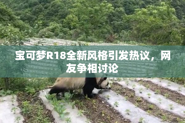 宝可梦R18全新风格引发热议，网友争相讨论