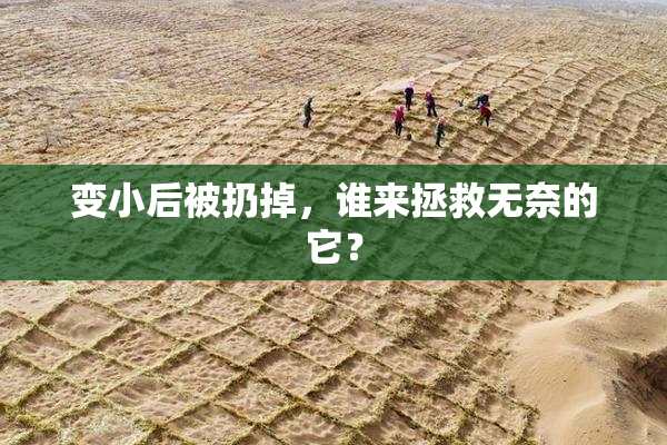变小后被扔掉，谁来拯救无奈的它？