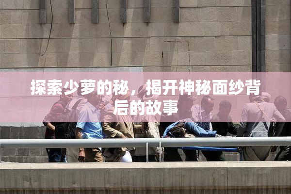 探索少萝的秘，揭开神秘面纱背后的故事