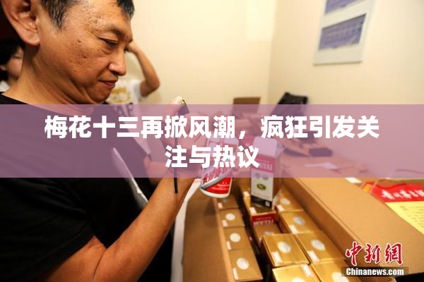 梅花十三再掀风潮，疯狂引发关注与热议