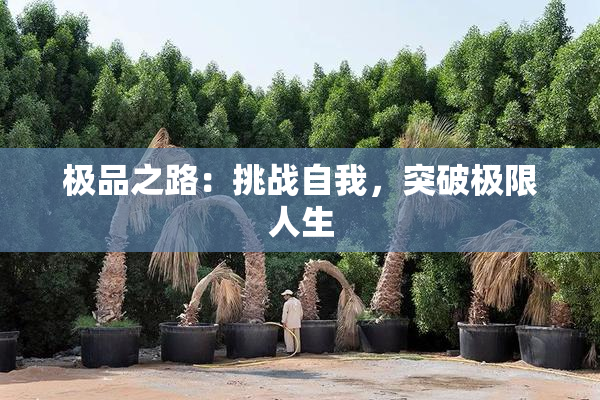 极品之路：挑战自我，突破极限人生