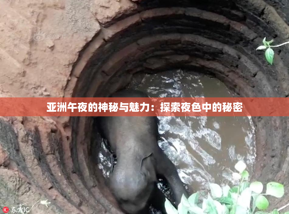 亚洲午夜的神秘与魅力：探索夜色中的秘密