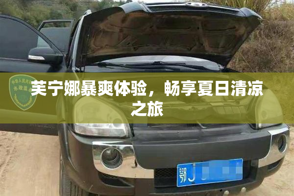 芙宁娜暴爽体验，畅享夏日清凉之旅