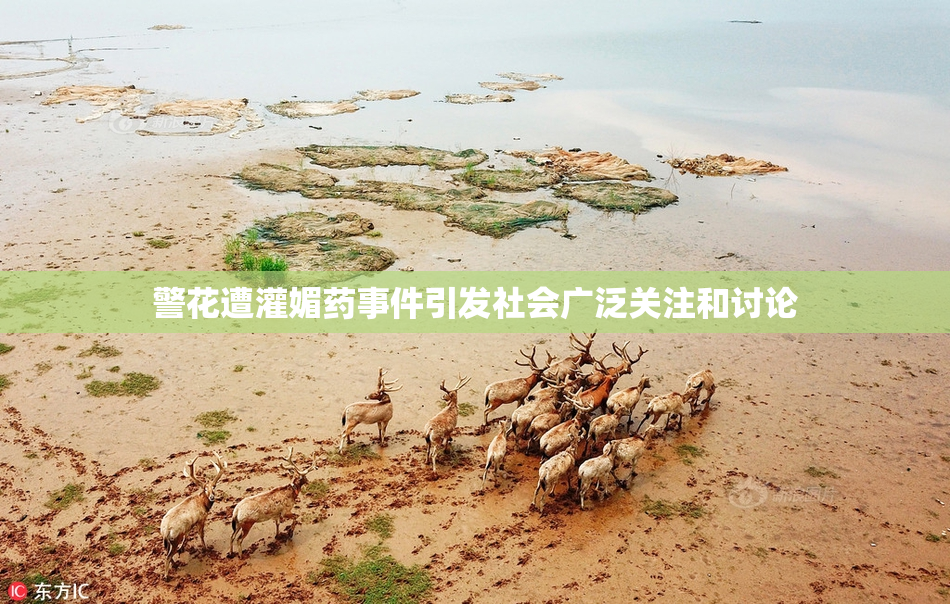 警花遭灌媚药事件引发社会广泛关注和讨论