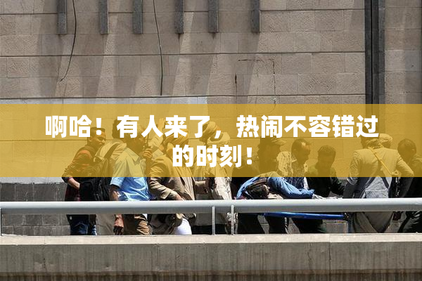 啊哈！有人来了，热闹不容错过的时刻！