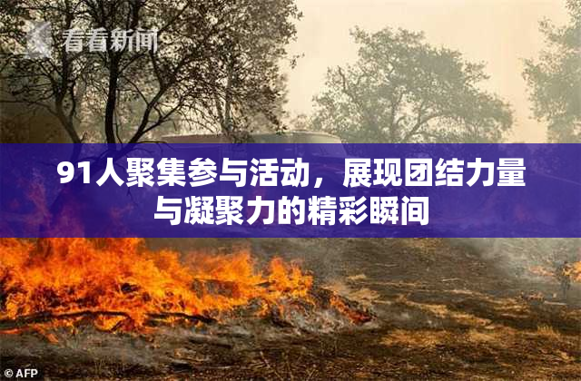 91人聚集参与活动，展现团结力量与凝聚力的精彩瞬间