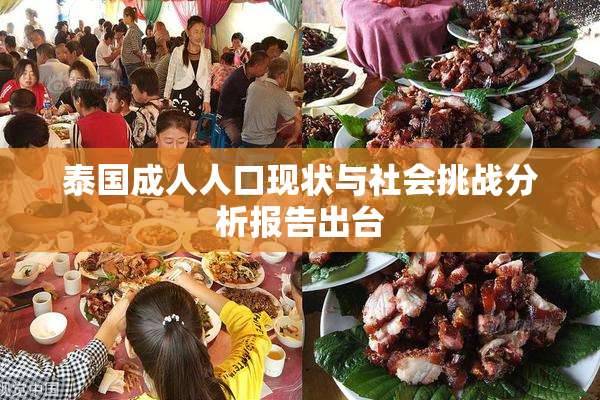 泰国成人人口现状与社会挑战分析报告出台