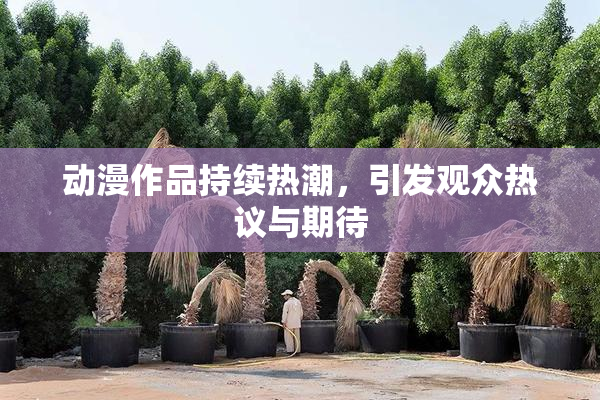 动漫作品持续热潮，引发观众热议与期待