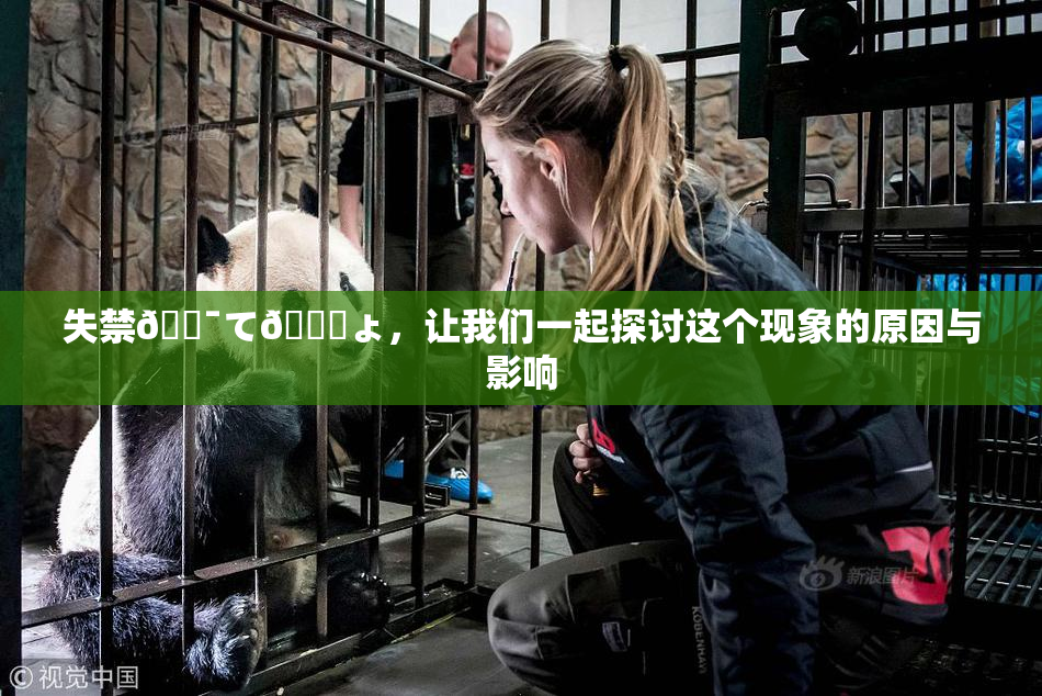 失禁🔯て🎆ょ，让我们一起探讨这个现象的原因与影响