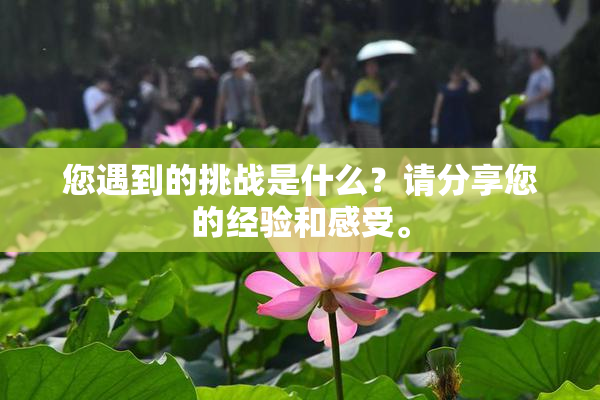 您遇到的挑战是什么？请分享您的经验和感受。