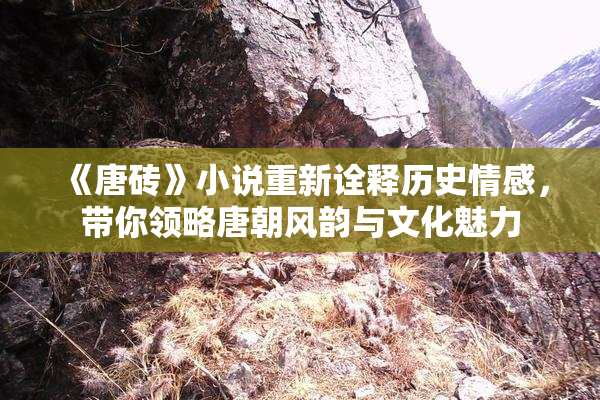 《唐砖》小说重新诠释历史情感，带你领略唐朝风韵与文化魅力
