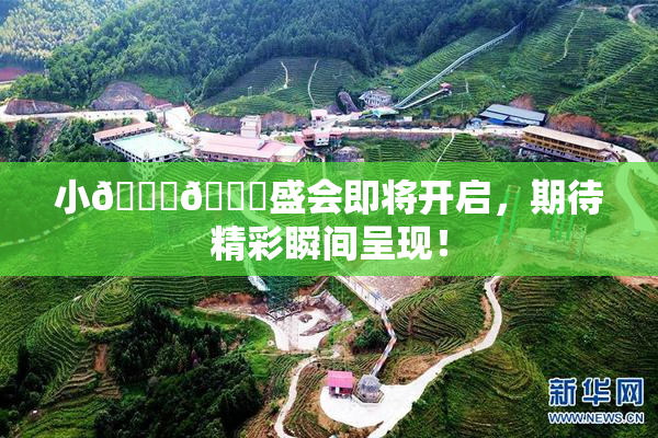 小🐔🐔盛会即将开启，期待精彩瞬间呈现！
