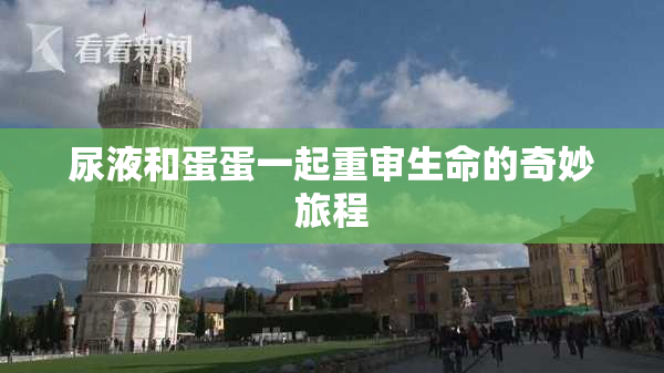 尿液和蛋蛋一起重审生命的奇妙旅程