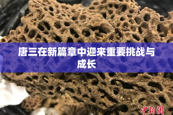 唐三在新篇章中迎来重要挑战与成长