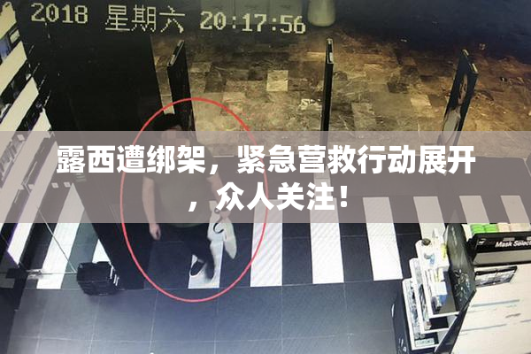 露西遭绑架，紧急营救行动展开，众人关注！