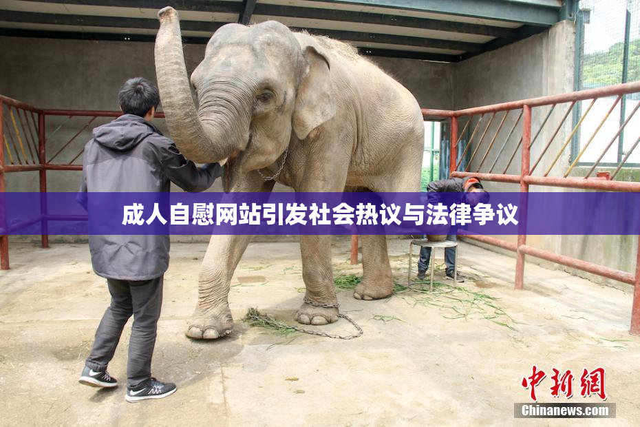 成人自慰网站引发社会热议与法律争议