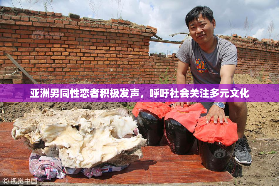 亚洲男同性恋者积极发声，呼吁社会关注多元文化
