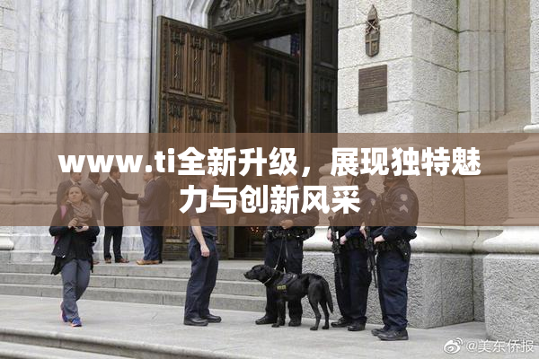 www.ti全新升级，展现独特魅力与创新风采