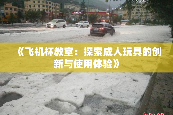 《飞机杯教室：探索成人玩具的创新与使用体验》