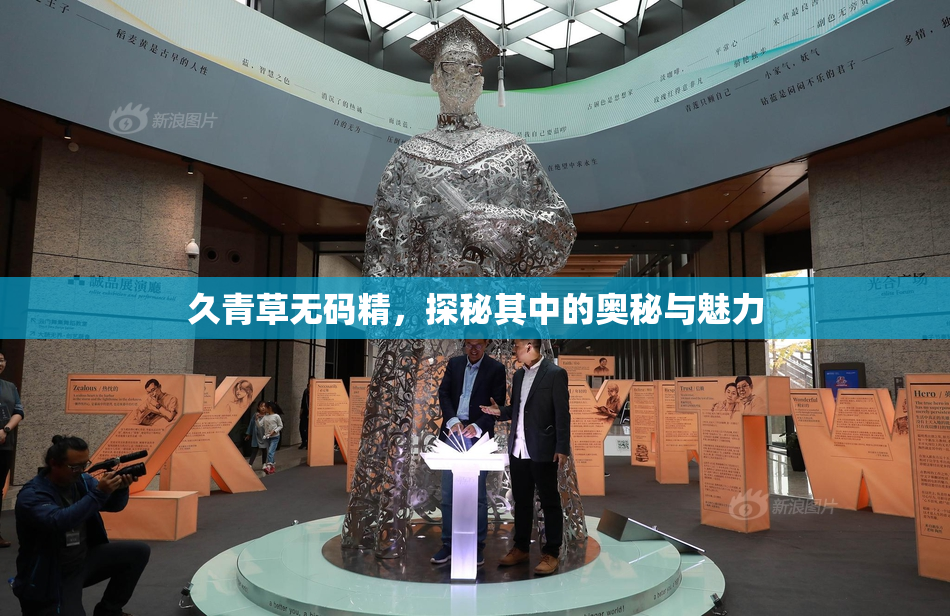 久青草无码精，探秘其中的奥秘与魅力