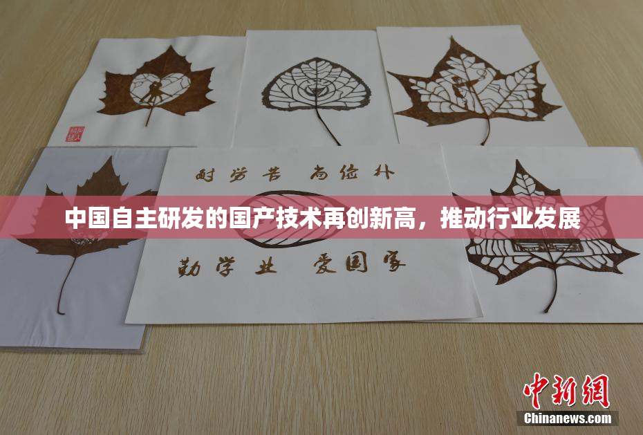 中国自主研发的国产技术再创新高，推动行业发展