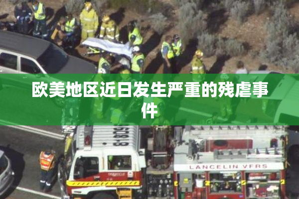 欧美地区近日发生严重的残虐事件