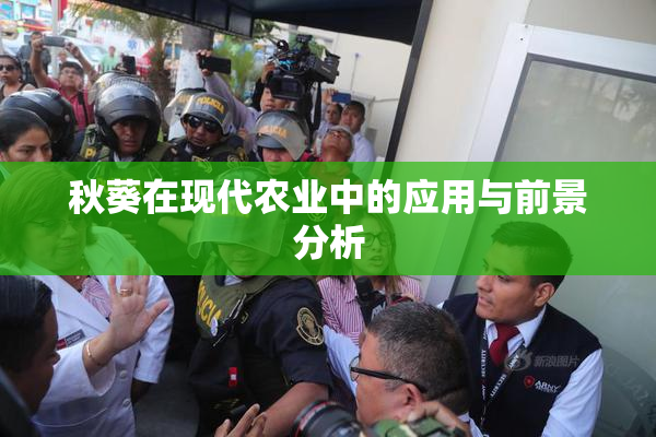 秋葵在现代农业中的应用与前景分析