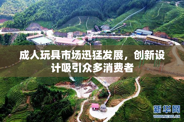成人玩具市场迅猛发展，创新设计吸引众多消费者