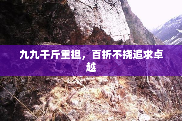 九九千斤重担，百折不挠追求卓越