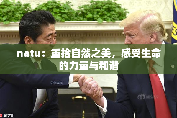 natu：重拾自然之美，感受生命的力量与和谐