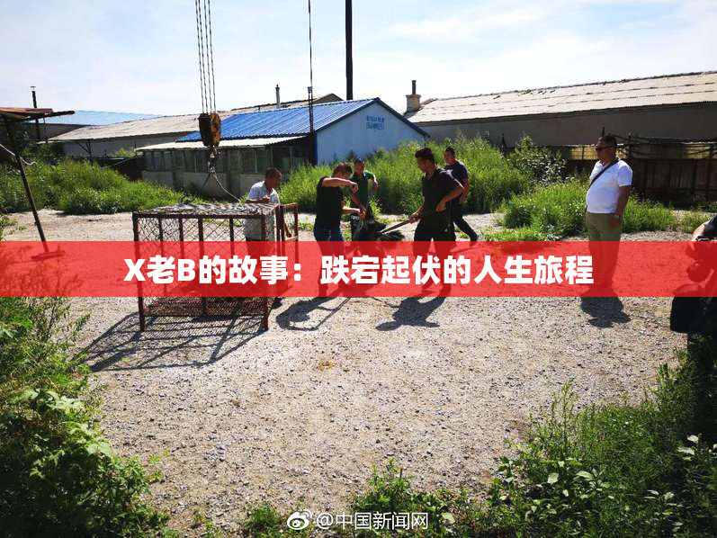 X老B的故事：跌宕起伏的人生旅程