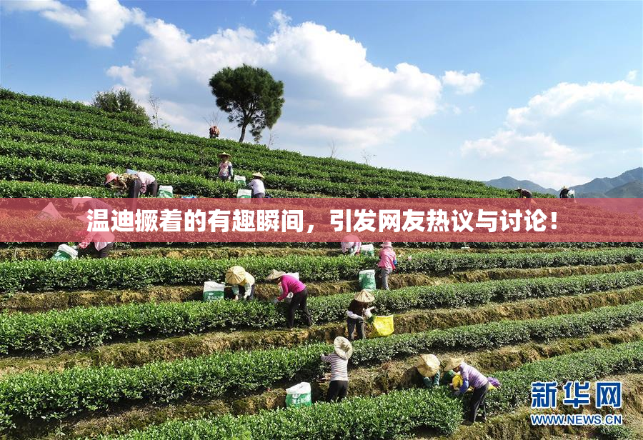 温迪撅着的有趣瞬间，引发网友热议与讨论！