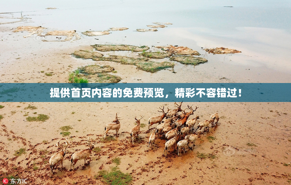 提供首页内容的免费预览，精彩不容错过！