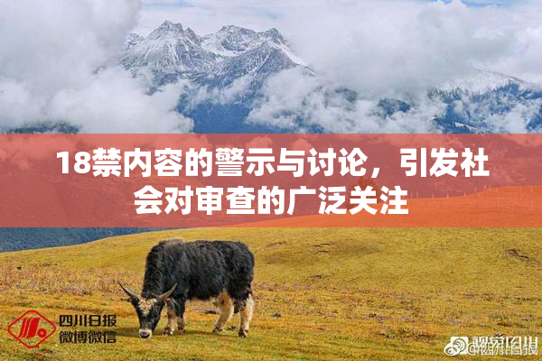 18禁内容的警示与讨论，引发社会对审查的广泛关注
