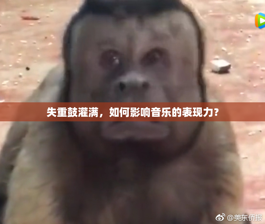 失重鼓灌满，如何影响音乐的表现力？